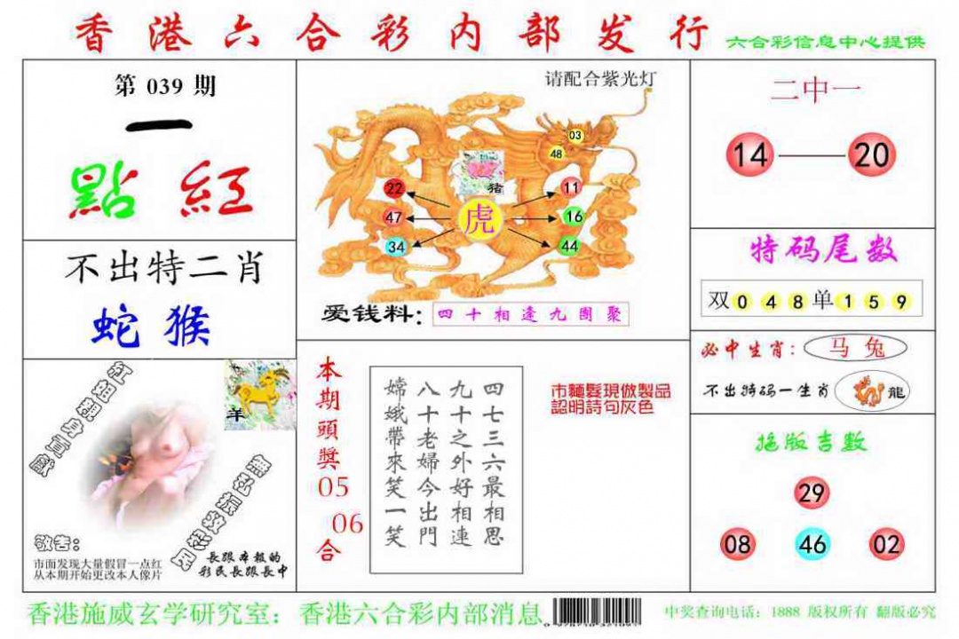 039期一点红[图]